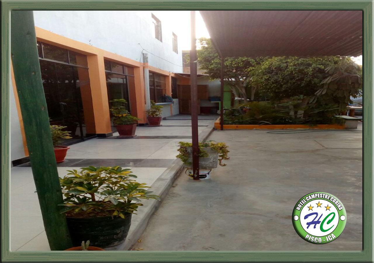 Pisco Hotel Corina Exterior photo